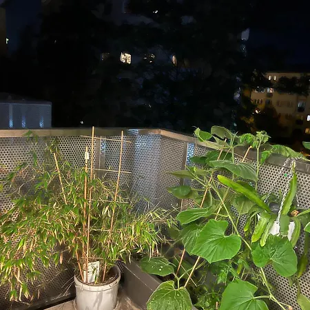 In Odra House * Wrocław