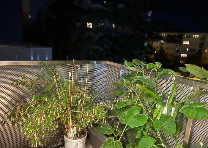 In Odra House * Wrocław